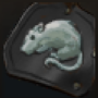 reinforced layer of the rat